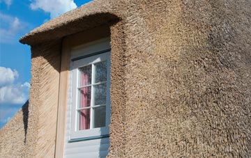Scoonie thatch roof disadvantages